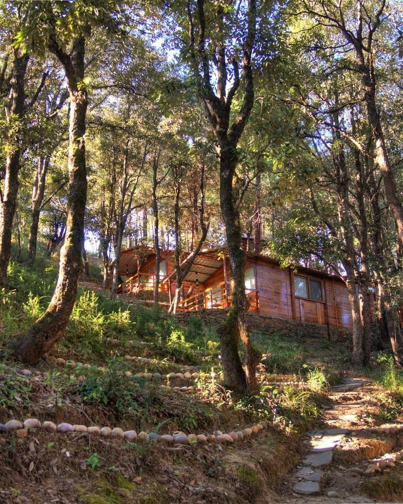 Aamod Resort Шимла Экстерьер фото