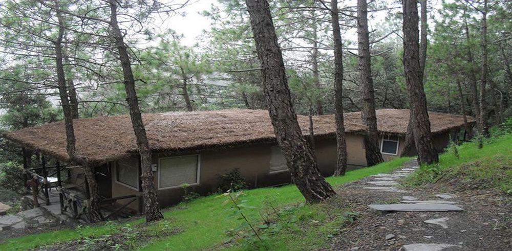 Aamod Resort Шимла Экстерьер фото