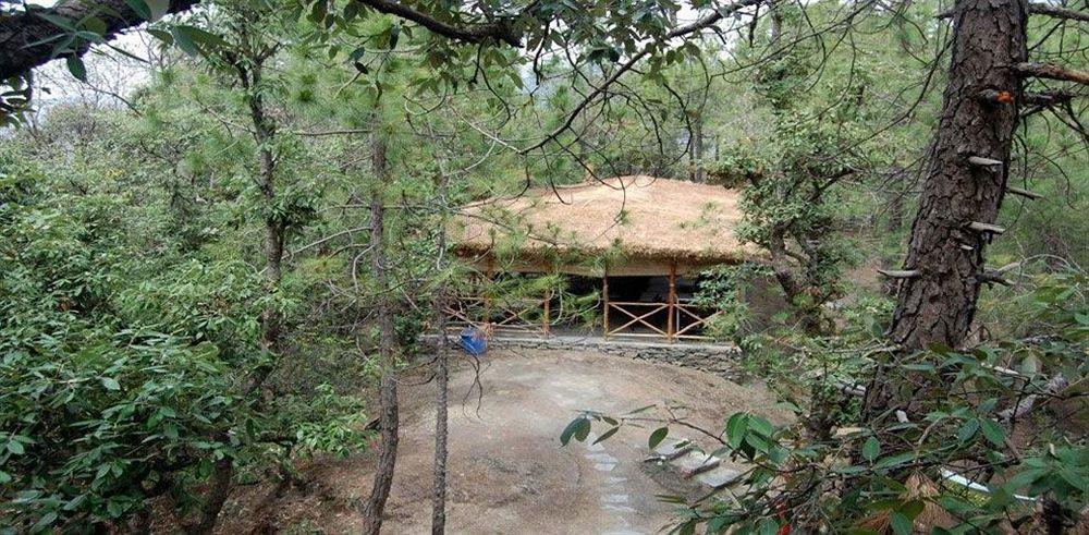 Aamod Resort Шимла Экстерьер фото