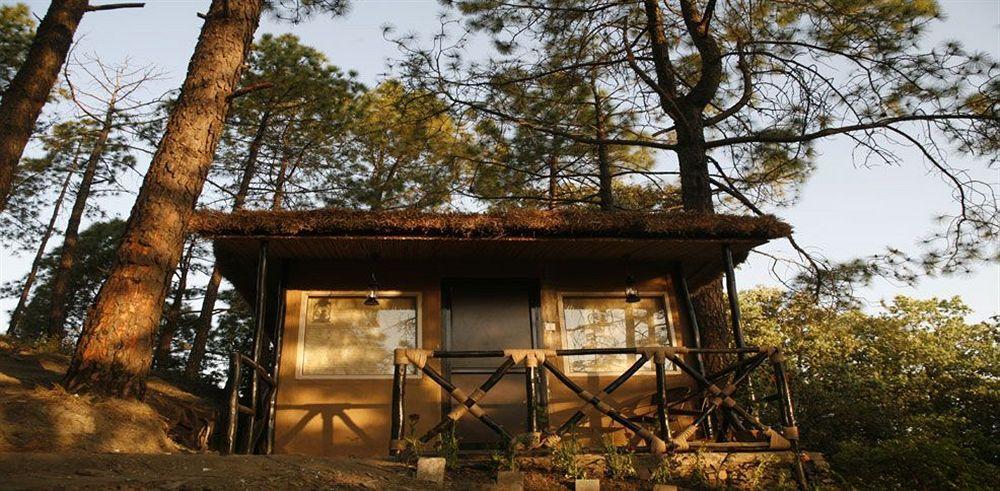 Aamod Resort Шимла Экстерьер фото